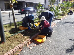 10月25日にヘメロカリスの刈り取りの活動をする植物ボランティア