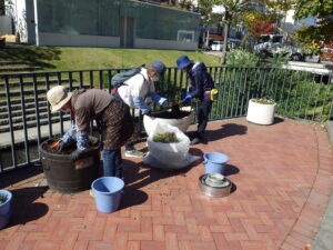10月13日に狸二条コンテナの花抜きの作業をする花くらぶ