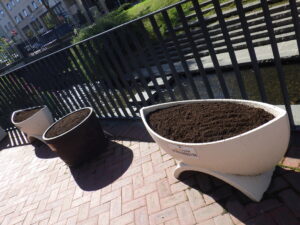 10月13日に花向きされた狸二条コンテナの様子