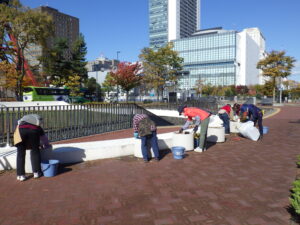 10月20日にコンテナの花苗ぬきを行う花クラブ