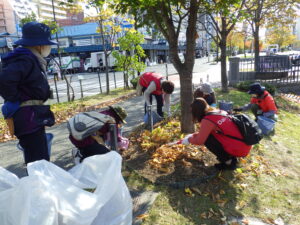 10月2日にスズラン花壇の刈り取りを行う花クラブ