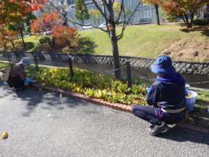 10月2日にスズラン花壇の刈り取りを行う花クラブ