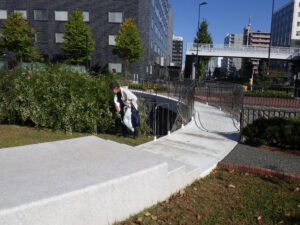 10月12日に行われた団体ボタンティアによるごみ拾いの様子