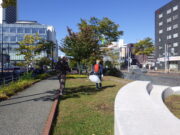 10月12日に行われた団体ボタンティアによるごみ拾いの様子