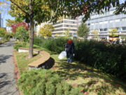 10月12日に行われた団体ボタンティアによるごみ拾いの様子