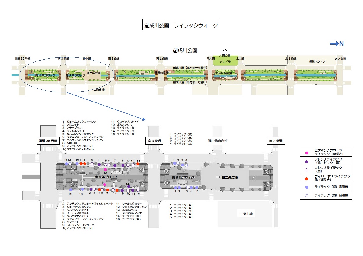 ライラック 創成川公園