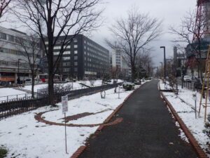 11月30日のうっすらと雪が降り積もった北1条の様子