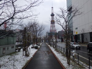 11月30日のうっすらと雪が降り積もった北2条の様子