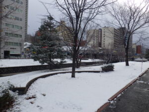 11月30日のうっすらと雪が降り積もった南2条の様子