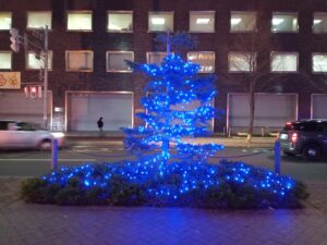 11月14日に最終日を迎えたオレンジリボンイルミネーションライトアップの樹木のイルミネーションの様子