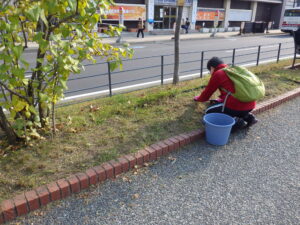 11月9日に花壇除草作業をお手伝いに来てくれたお助け隊のメンバー