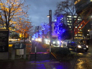 11月1日に点灯したまんなか広場のオレンジリボンイルミネーションライトアップの様子