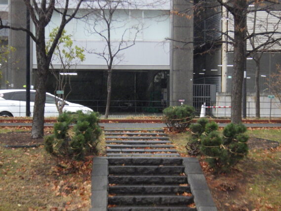 「樹木の冬囲い開始」の画像