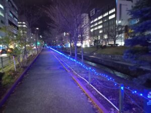 11月22日から点灯された南1条のイルミネーションの様子