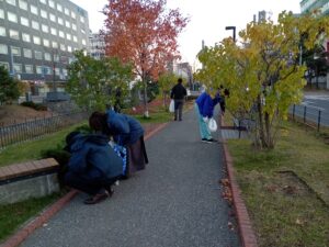 11月9日に公園のごみ拾い活動をする企業ボランティア