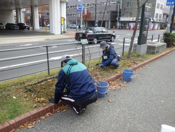 「植物ボランティア今年度の外作業終了」の画像
