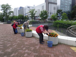 花くらぶの活動に参加してコンテナ花壇の手入れをする企業ボランティア