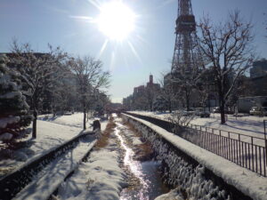 12月12日に雪が降り積もった公園内北1条の様子