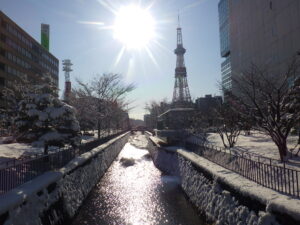 12月12日に雪が降り積もった公園内北2条の様子