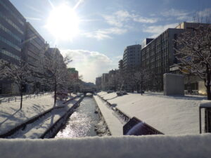12月12日に雪が降り積もった公園内南1条の様子