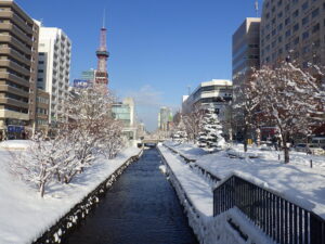 12月12日に雪が降り積もった公園内南2条の様子