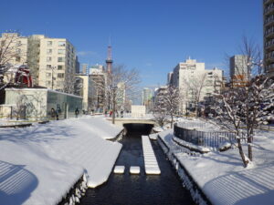 12月12日に雪が降り積もった公園内南3条の様子
