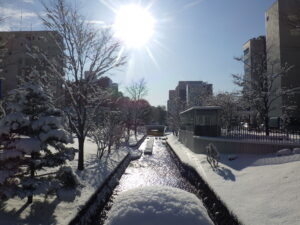 12月12日に雪が降り積もった公園内南4条の様子