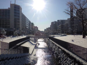 12月12日に雪が降り積もった公園内大通ブロックの様子