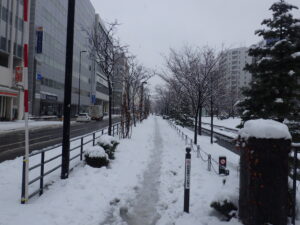 12月23日の薬袋1条東側の園路の様子