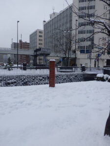 スノーリング横のたけくらべの12月23日の積雪の様子