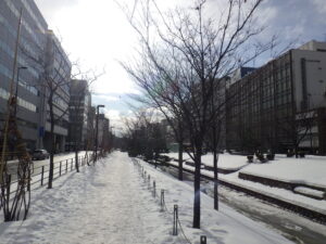 令和5年1月5日の南1条の園路の様子