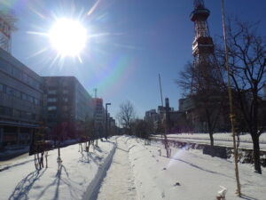 1月28日の北1条からテレビ塔方向を見た様子