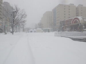 12時の狸二条広場の様子