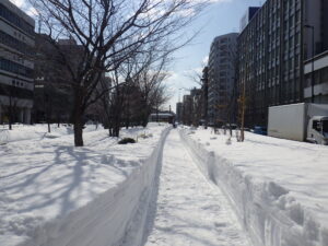 閉鎖園路除雪開放後の南1条西側の様子