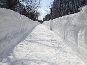 閉鎖園路を除雪した後の南1条西側の雪の壁の様子