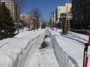 閉鎖園路除雪開放後の南4条東側の様子