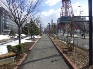 3月18日の北1条の様子