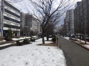 3月18日の南1条の様子