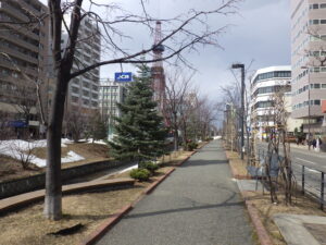 3月18日の南2条の様子