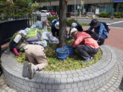 R4年度のお助け隊の活動の様子　花壇の除草