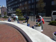 R4年度の花くらぶの活動の様子　まんなか広場コンテナの花植