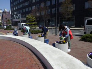 R4年度の花くらぶの活動の様子　まんなか広場コンテナの花植