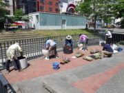 R4年度の花くらぶの活動の様子　狸二条広場コンテナの花植