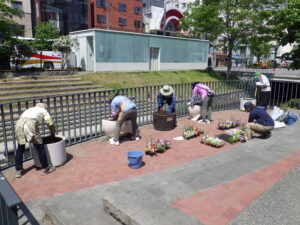 R4年度の花くらぶの活動の様子　狸二条広場コンテナの花植