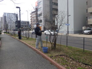 4月11日にライラックの枯れ枝の剪定をする植物ボランティア