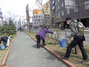 4月11日にライラックの枯れ枝の剪定をする植物ボランティア