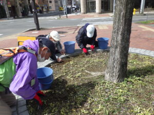 4月12日に円形ますの除草をするお助け隊