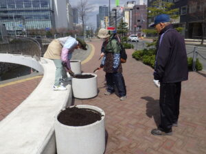 4月13日に真ん中広場のコンテナの整備をする花くらぶ