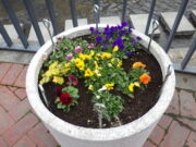 狸二条広場コンテナ