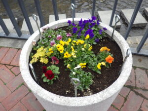 狸二条広場コンテナ